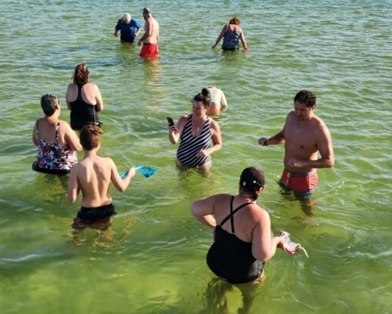 Sandbar & Dolphin Cruise From Bradenton Beach