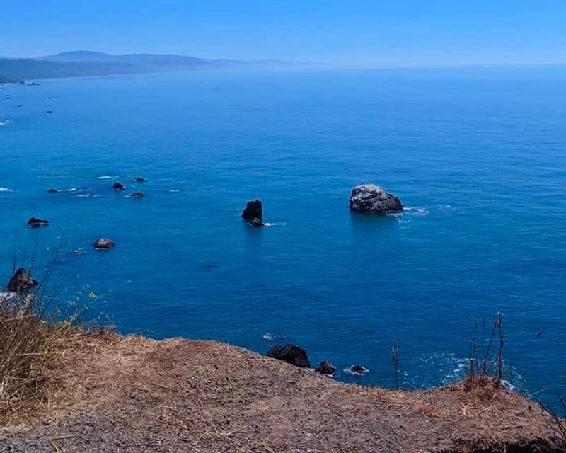 Hidden Beach Guided Coastal Hike from Orick