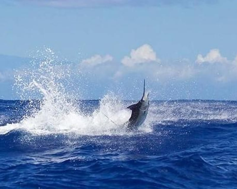 Shared or Private Fishing Charter on Kauai