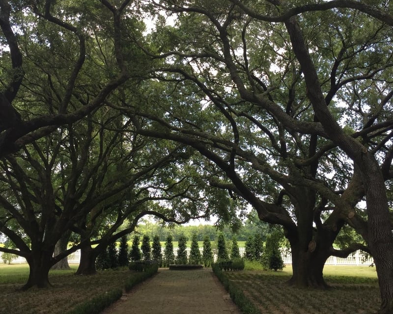 Whitney Plantation & Airboat Swamp Tour from New Orleans