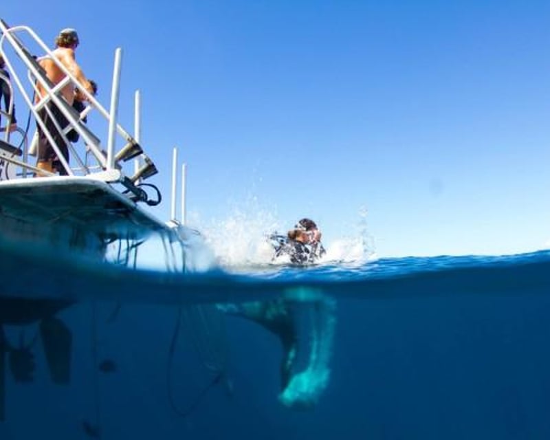 2-Tank Scuba Boat Dive in Poipu for Certified Divers