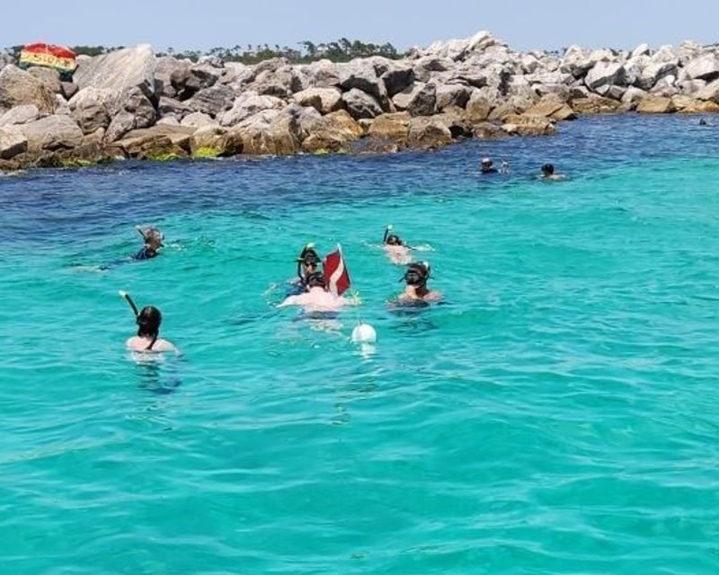 Private Shell Island Dolphin Watch & Snorkel Tour
