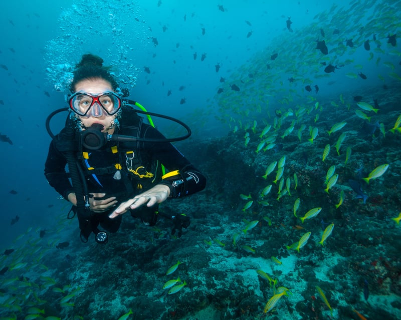 Private Beginner Scuba Dive in Honolulu