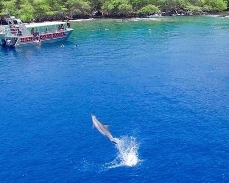 Private Snorkel Charter in Kailua Kona
