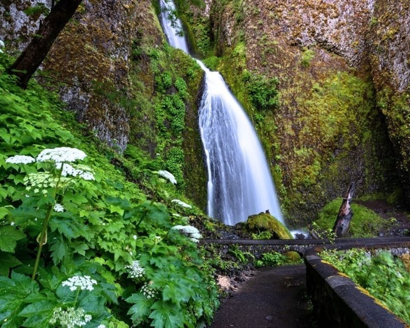 Private Botanical Waterfall Hike Near Columbia River Gorge