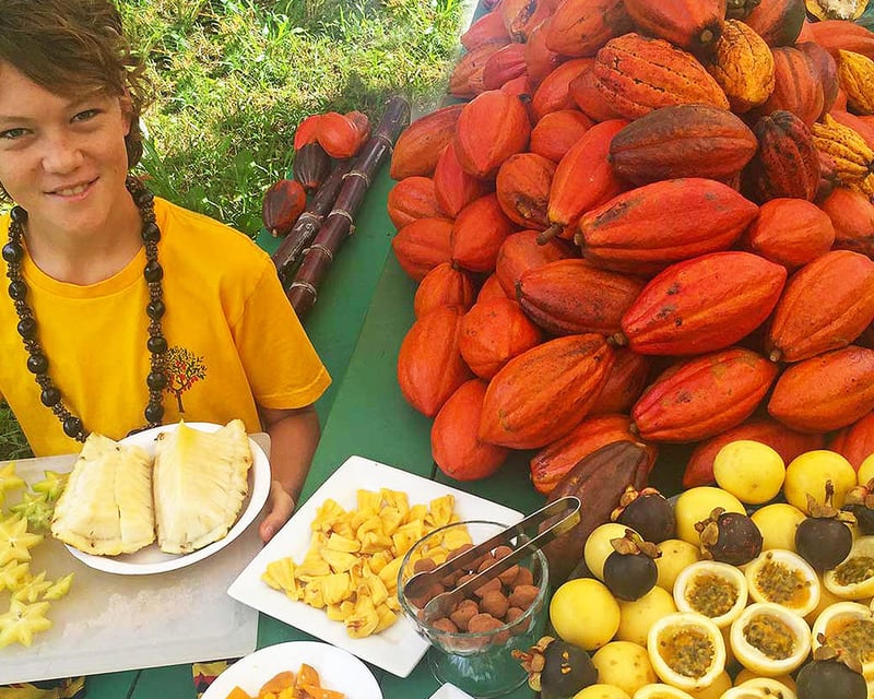 Organic Chocolate Farm Tour & Tasting in Kilauea