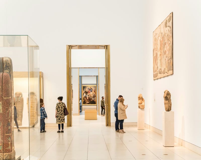 Museum of Fine Arts Houston Entry Ticket