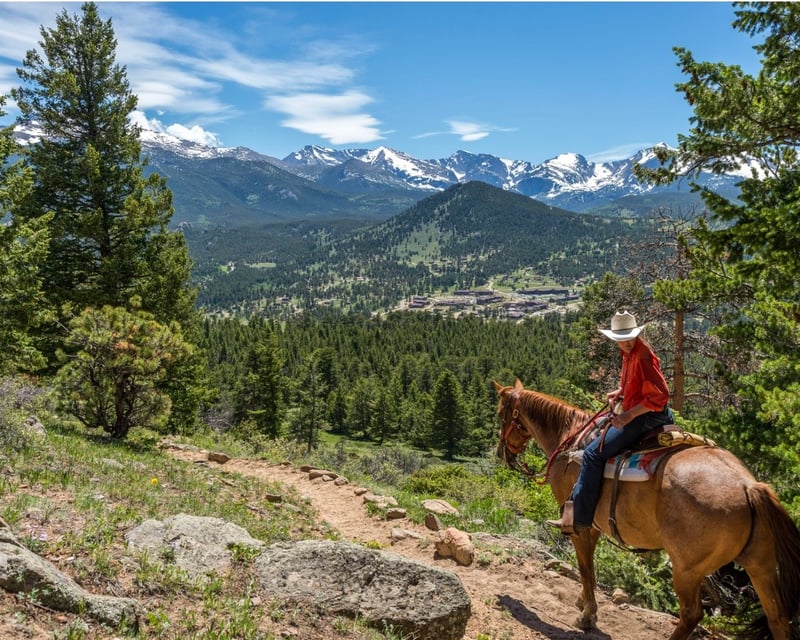 Rocky Mountain National Park 5-Hour Trail Ride