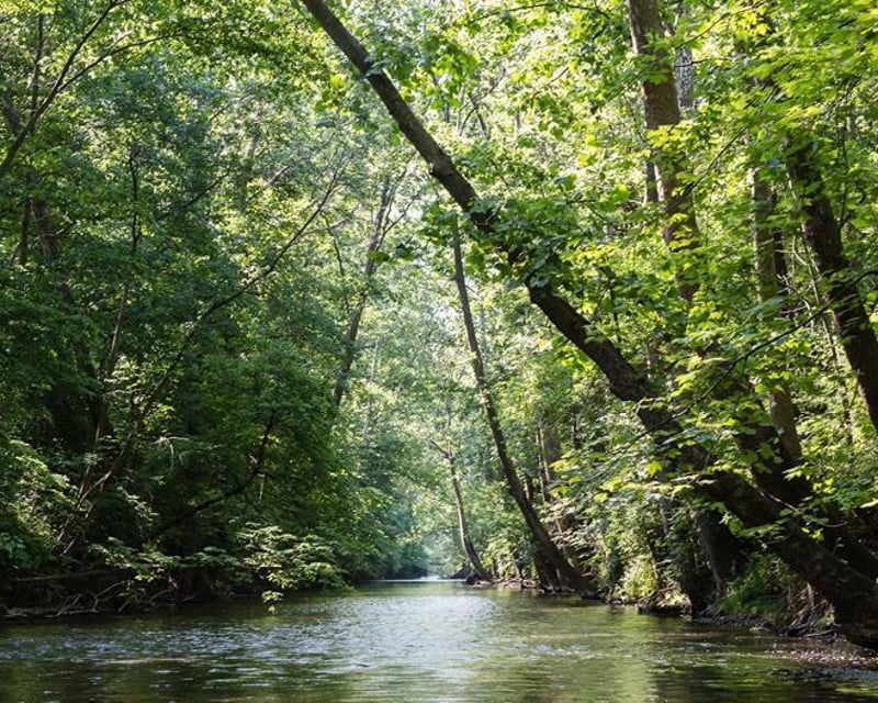 4-Hour Mad River Tubing Float in Urbana