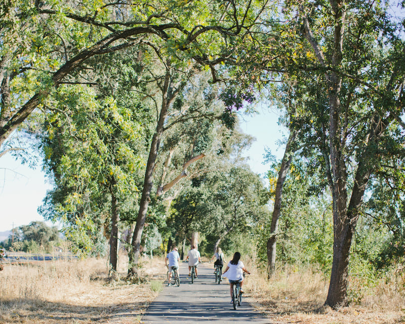 Explore the Napa Valley Vine Trail 2-Day Bike Rental