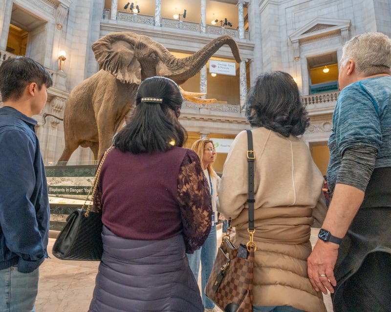 3-Hour Smithsonian Museums Guided Tour