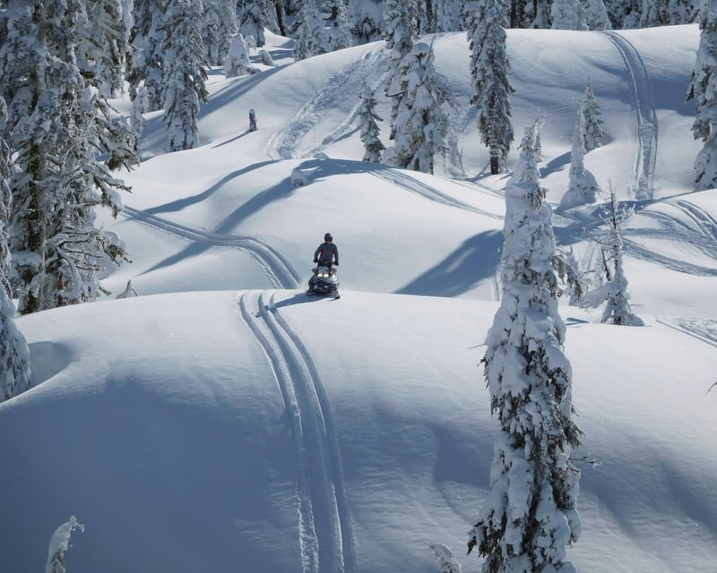 Traverse City Snowmobile Rental: 2 Hours