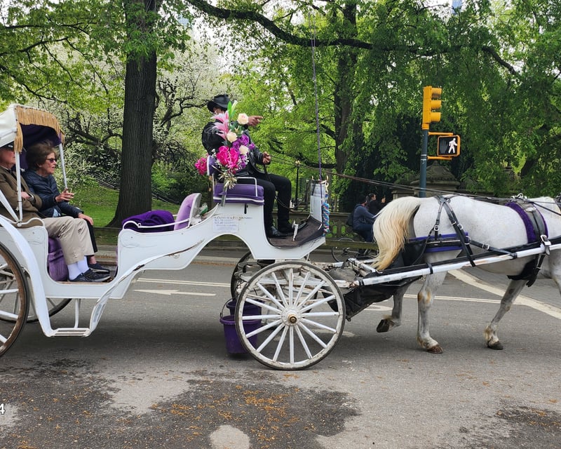 Guided Horse Carriage Ride Through Central Park