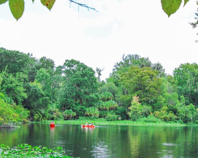 Tandem Kayak Rental at Wekiwa Springs State Park