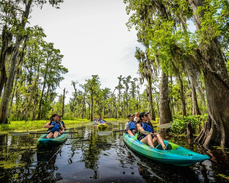 Guided Manchac Swamp Kayak Tour