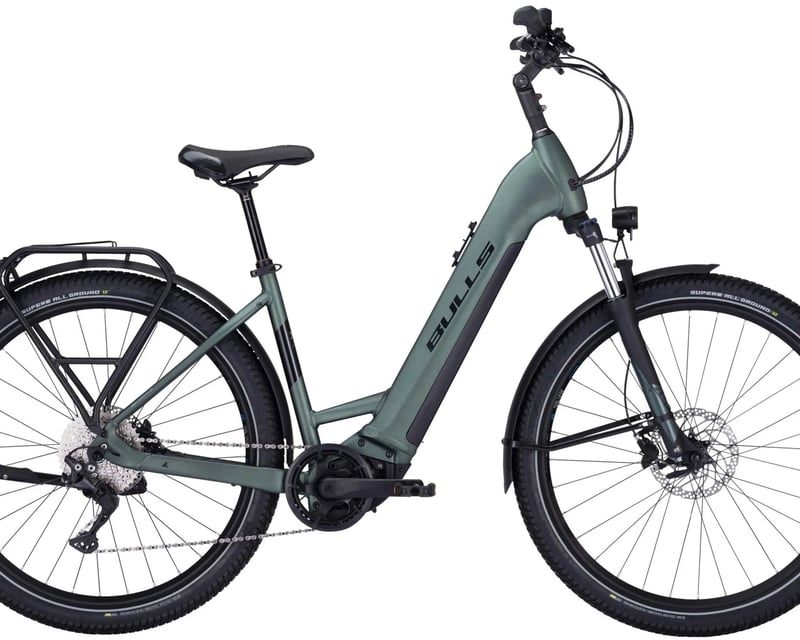 Full-Day E-Bike Rental