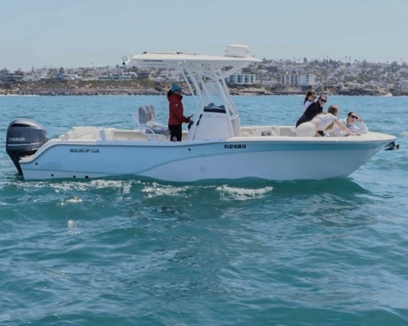 Private Whale & Dolphin Watching Charter in San Diego