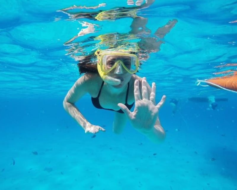 Swim, Snorkel & Dolphin Cruise in Fort Walton Beach