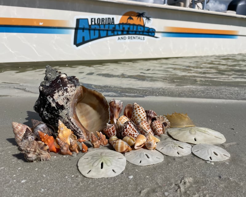 Island-Hopping Shelling Tour near Marco Island