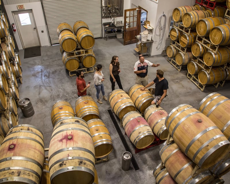Harvest Wine Tour & Tasting in Healdsburg