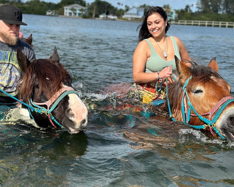 Beach Horseback Ride & Swim in Palma Sola Bay, Bradenton