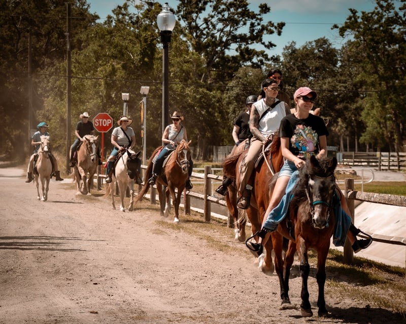 Ranch Ride in Pinellas Park, FL