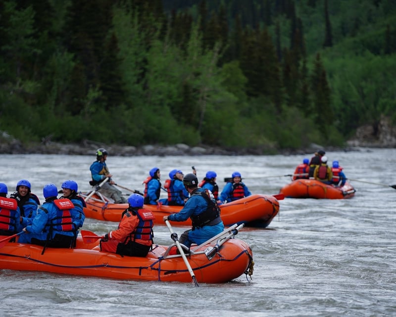 Denali 23-Mile Scenic & Whitewater Rafting