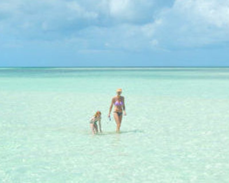 3.5-Hour Key West Eco Charter