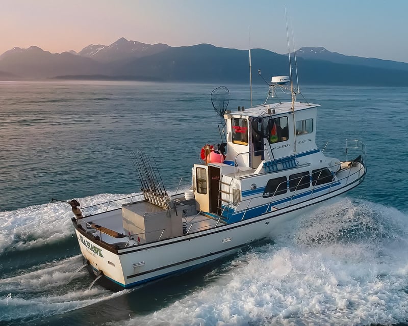 Halibut Fishing Charter in Homer