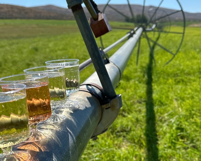 2-Hour Guided Farm Tour in Ellensburg