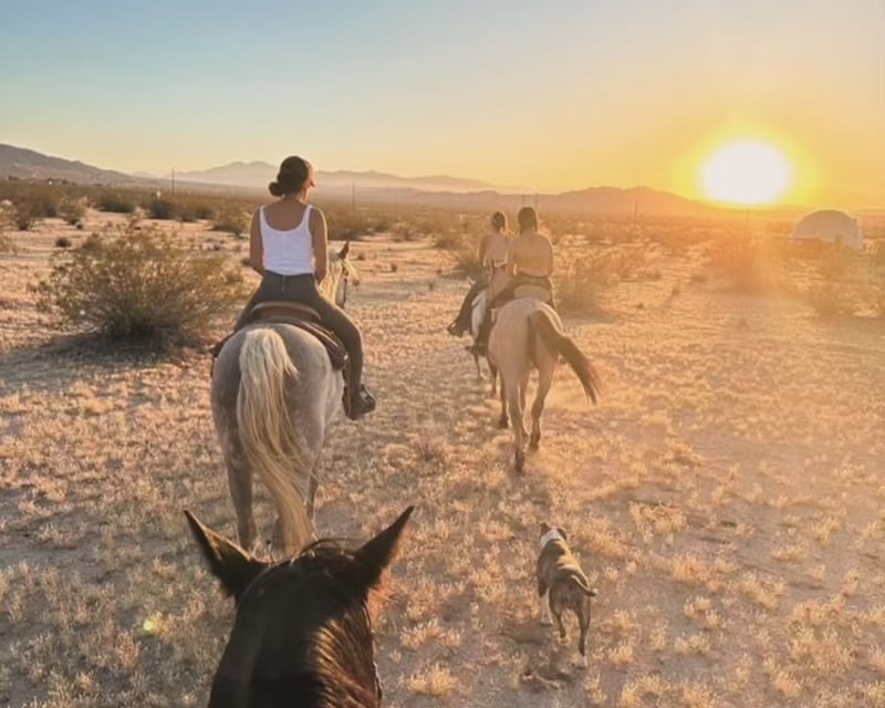 Sunset Horseback Trail Ride in Joshua Tree