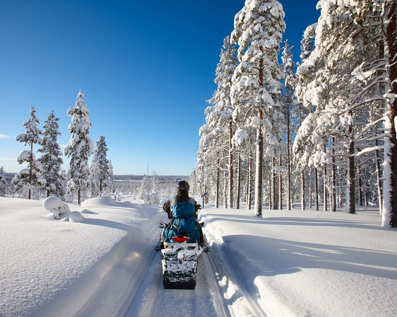 Full Day Guided Snowmobile Tour