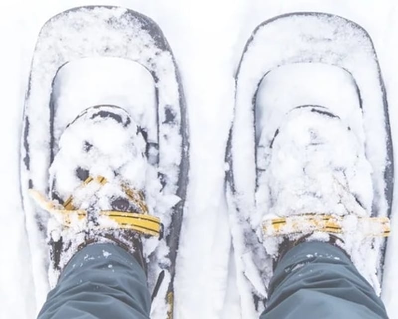 2-Day Snowshoe Rental in La Grande