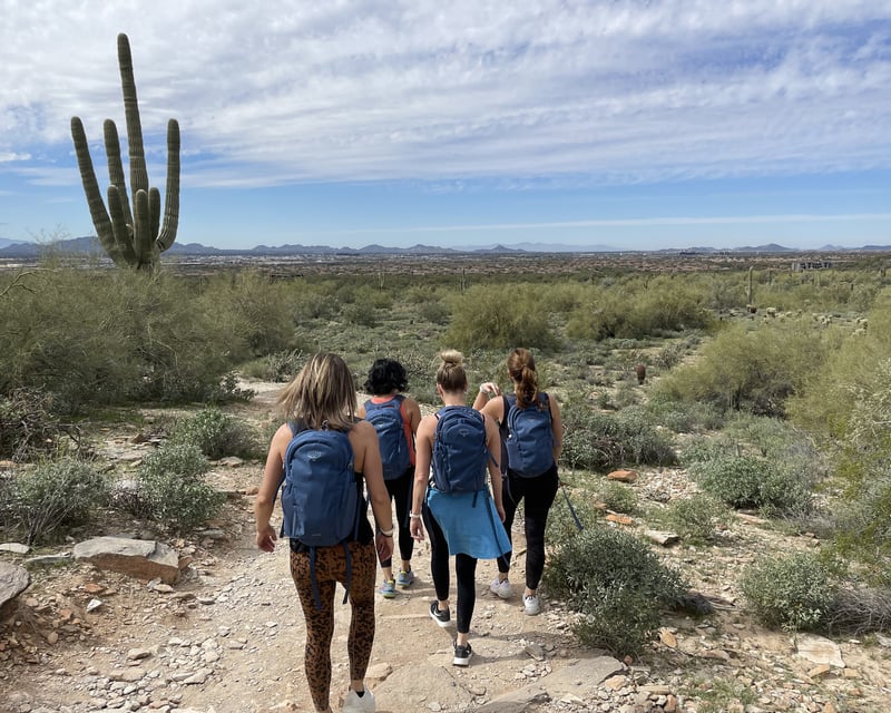 Afternoon Day Hike in Scottsdale