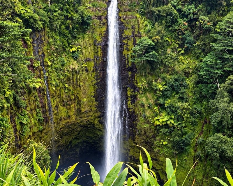 ʻAkaka Falls & Chocolate Farm Tour From Hilo
