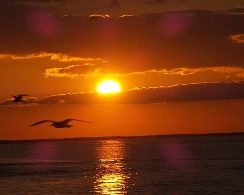 Private Sunset & Mangrove Cruise in Key Largo