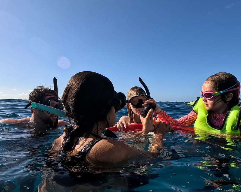 Private Turtle Canyon Snorkel Charter in Waikiki