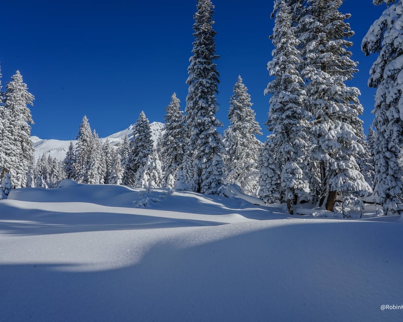 Sacred Sites & Vortex Snowshoe Tour in Mt. Shasta