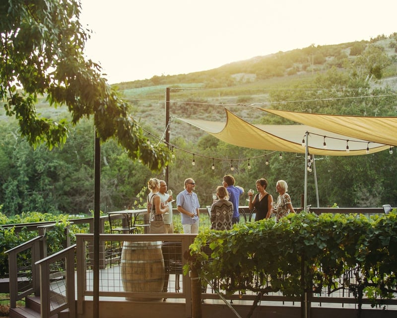 Tour 3 Sedona-Area Wineries on a Guided Tasting Tour