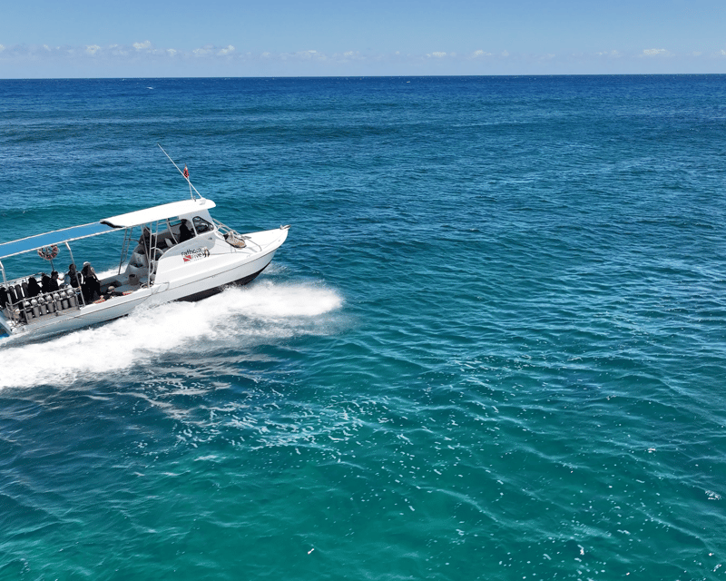 Take a 2-Tank Boat Dive in Kauai
