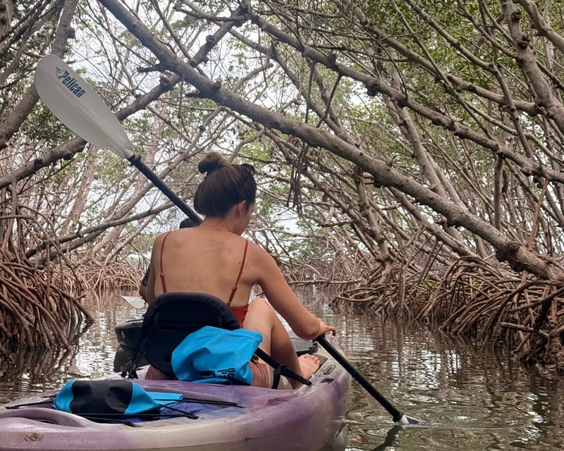 Mangrove Kayak Rental with Delivery Near St. Petersburg