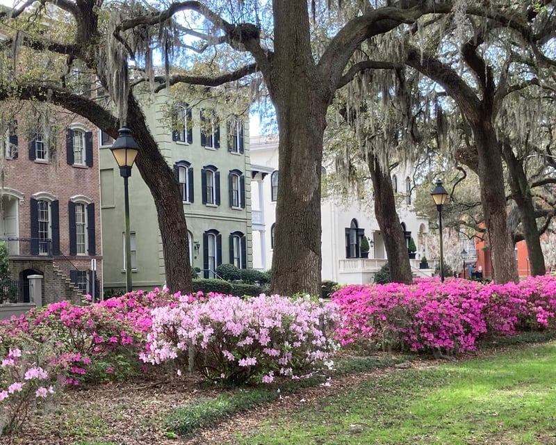 Savannah Historic District Walking Tour