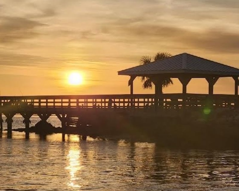 Private Sunset Pontoon Cruise on the Withlacoochee River