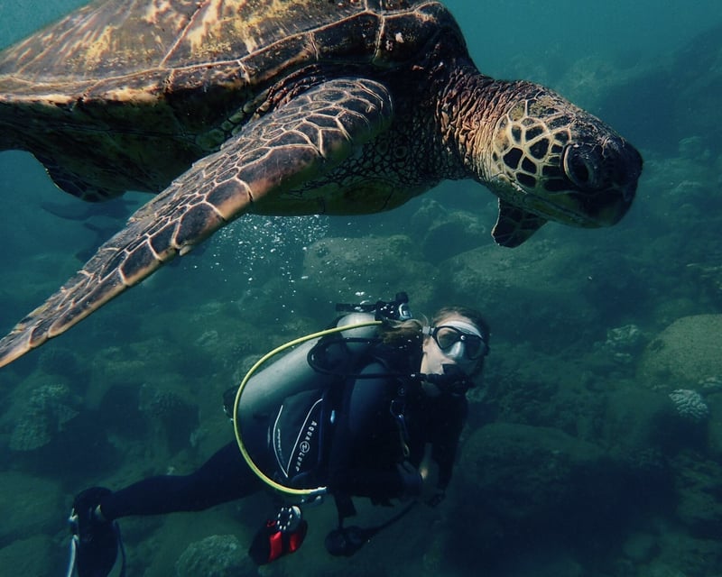 Discover Scuba Diving Shore Dive in Kauai 2-Tank