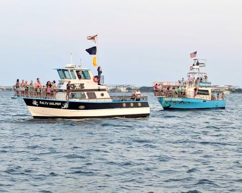 Pensacola Beach Dolphin Sightseeing Cruise