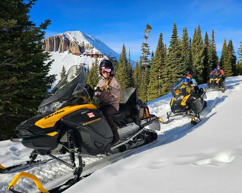 Guided Mountain Snowmobile Tour Near Durango