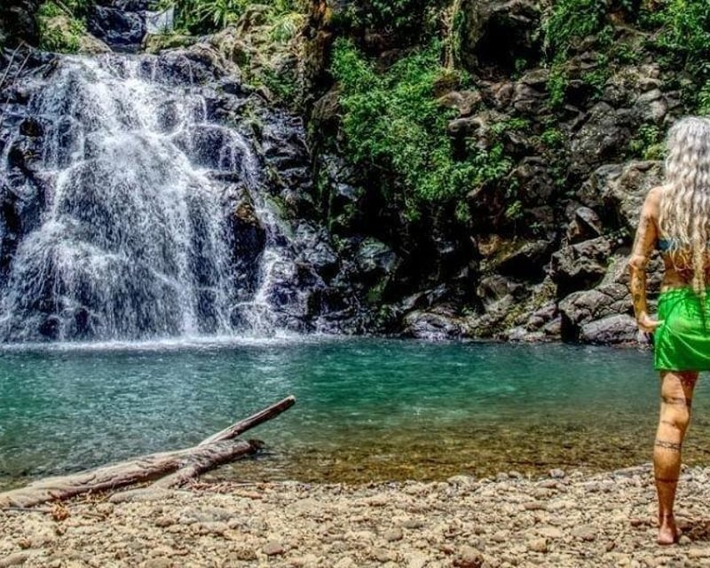 Private Eco-Friendly Island Sightseeing Tour from Honolulu