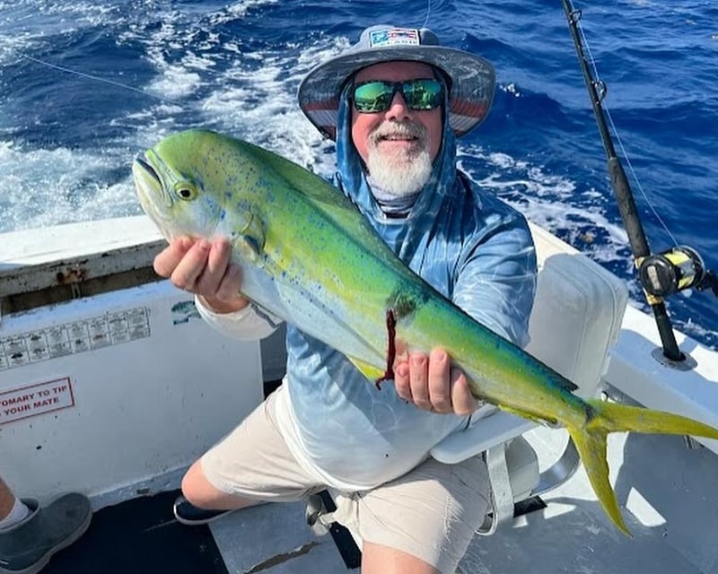 Key West Private 3-Hour Bottom Fishing Charter