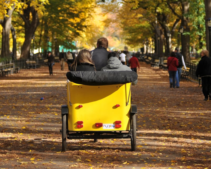 Explore Central Park by Pedicab on a Guided Tour