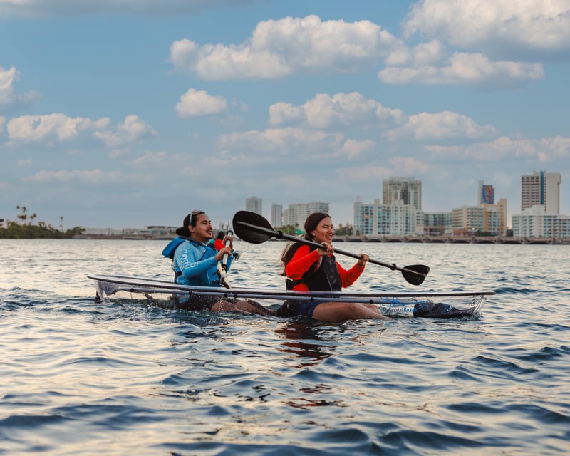 Clear Kayak Nature Tour in Condado Lagoon, San Juan